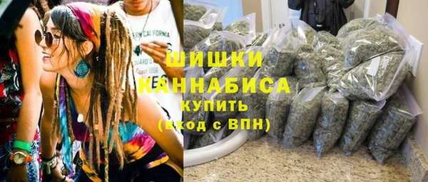 соль ск Гусев