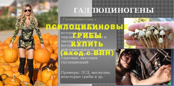 соль ск Гусев