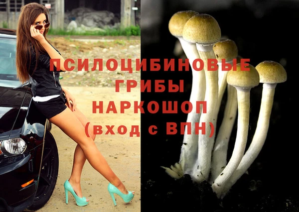амфетамин Гусь-Хрустальный