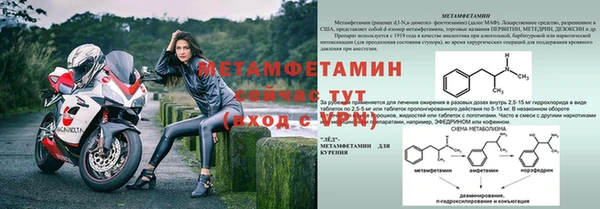прущие грибы Дмитровск