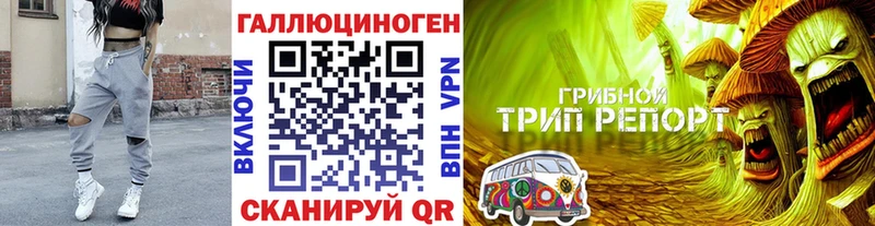 Псилоцибиновые грибы прущие грибы  Купить где  Исилькуль 